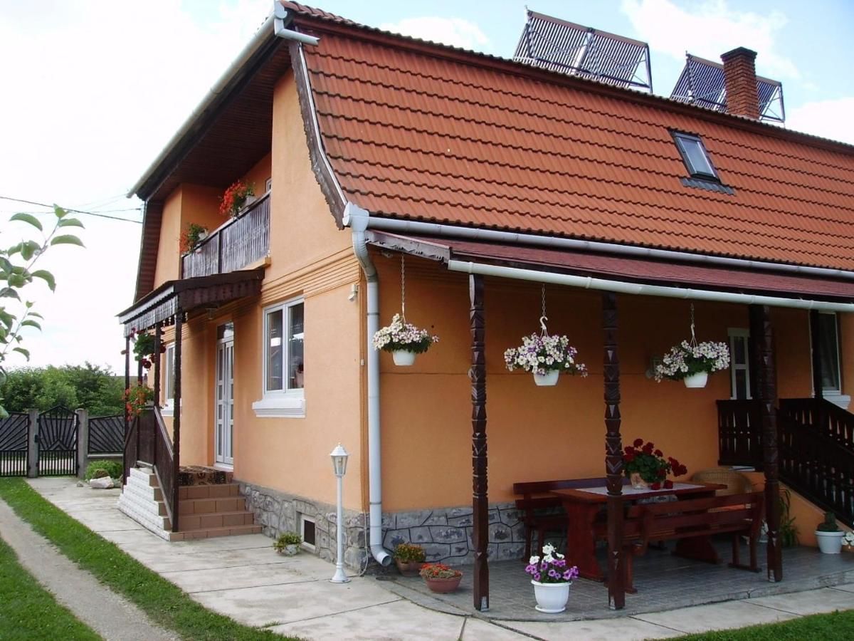 Гостевой дом Gabriella vendégház Lăzarea-7